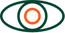 Vision icon